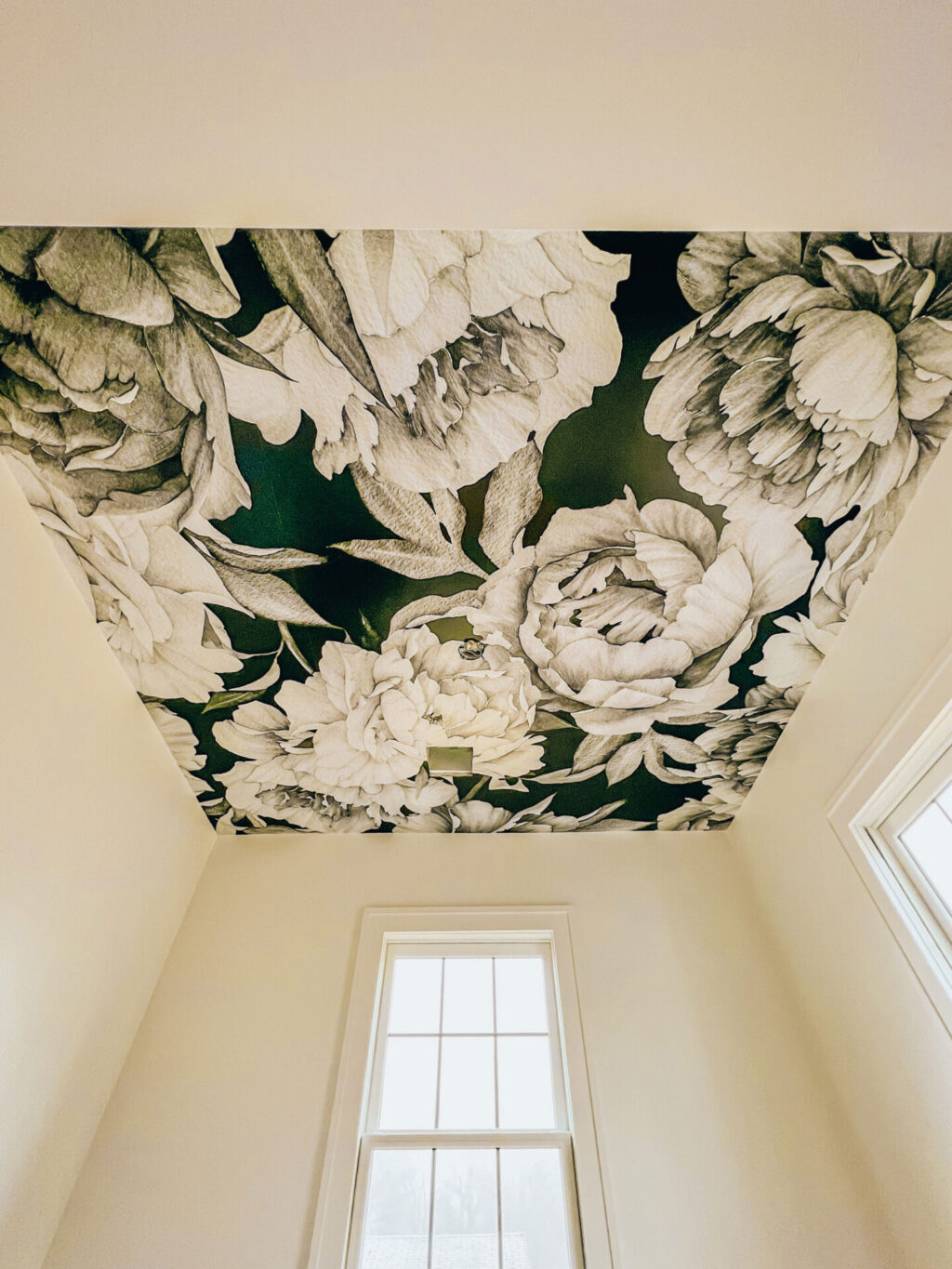 Peel-and-Stick Ceiling Wall Paper